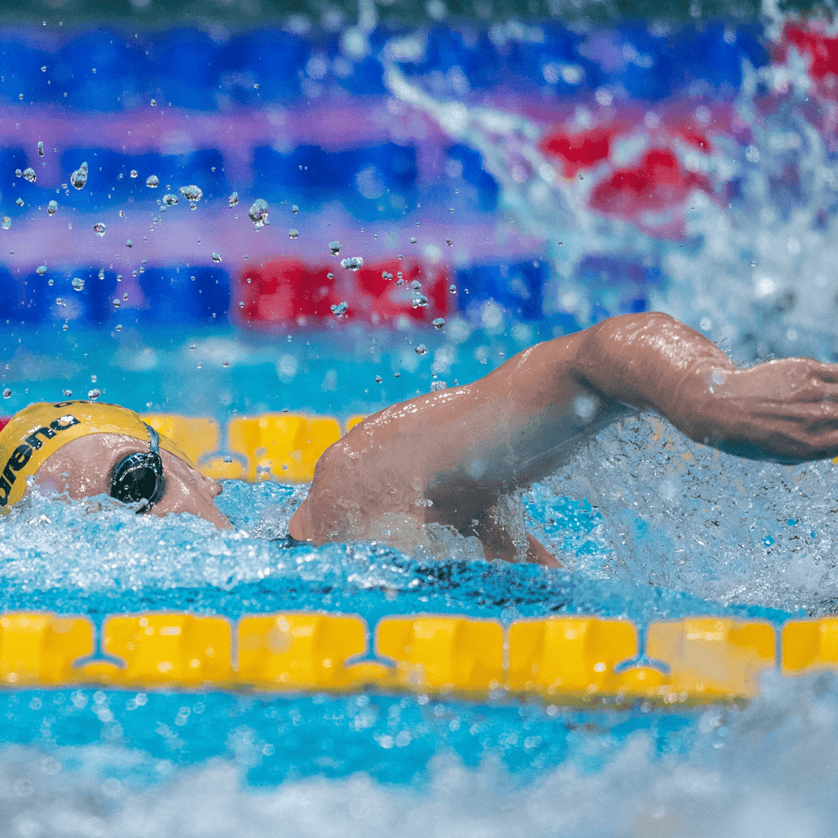 World Swimming Championships Singapore 2025 Review