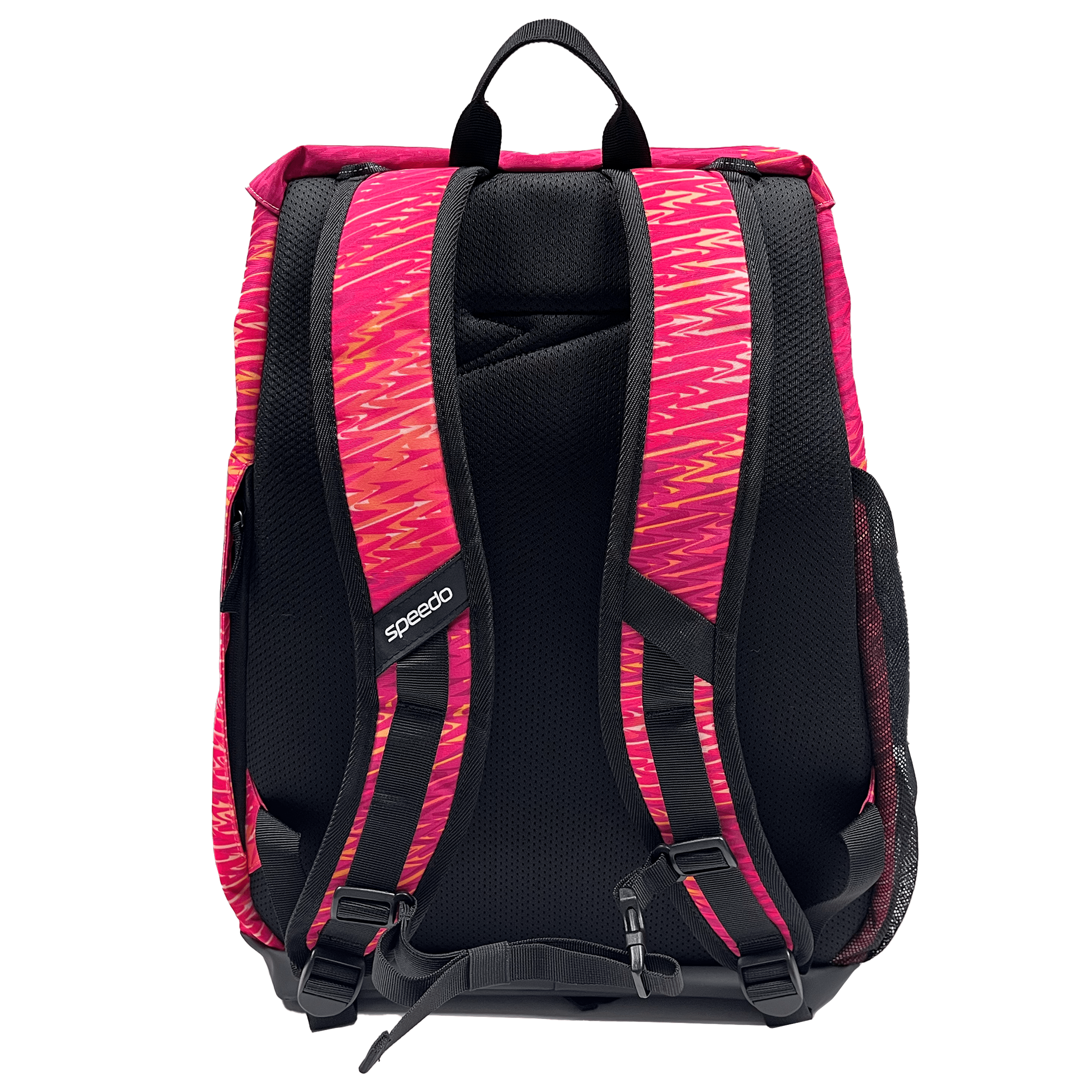 Speedo 35L Pro Rucksack - Opaline Margrita-Bags-Speedo-SwimPath